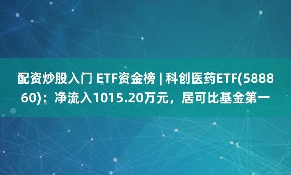 配资炒股入门 ETF资金榜 | 科创医药ETF(588860)：净流入1015.20万元，居可比基金第一