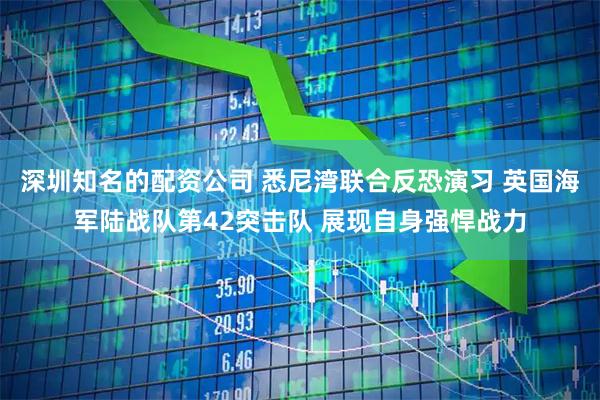深圳知名的配资公司 悉尼湾联合反恐演习 英国海军陆战队第42突击队 展现自身强悍战力