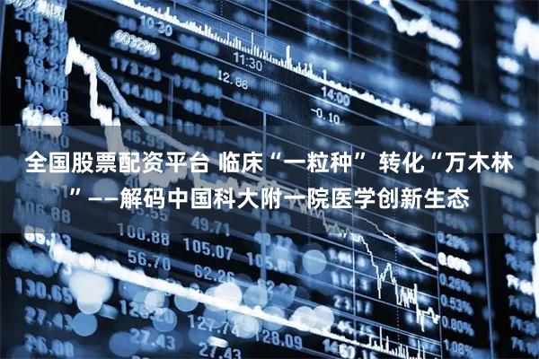 全国股票配资平台 临床“一粒种” 转化“万木林”——解码中国科大附一院医学创新生态