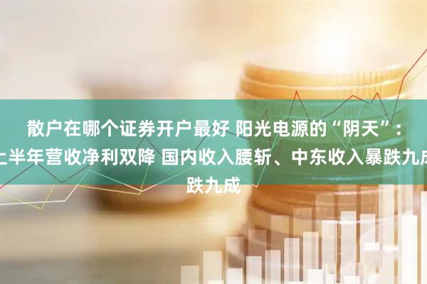 散户在哪个证券开户最好 阳光电源的“阴天”：上半年营收净利双降 国内收入腰斩、中东收入暴跌九成